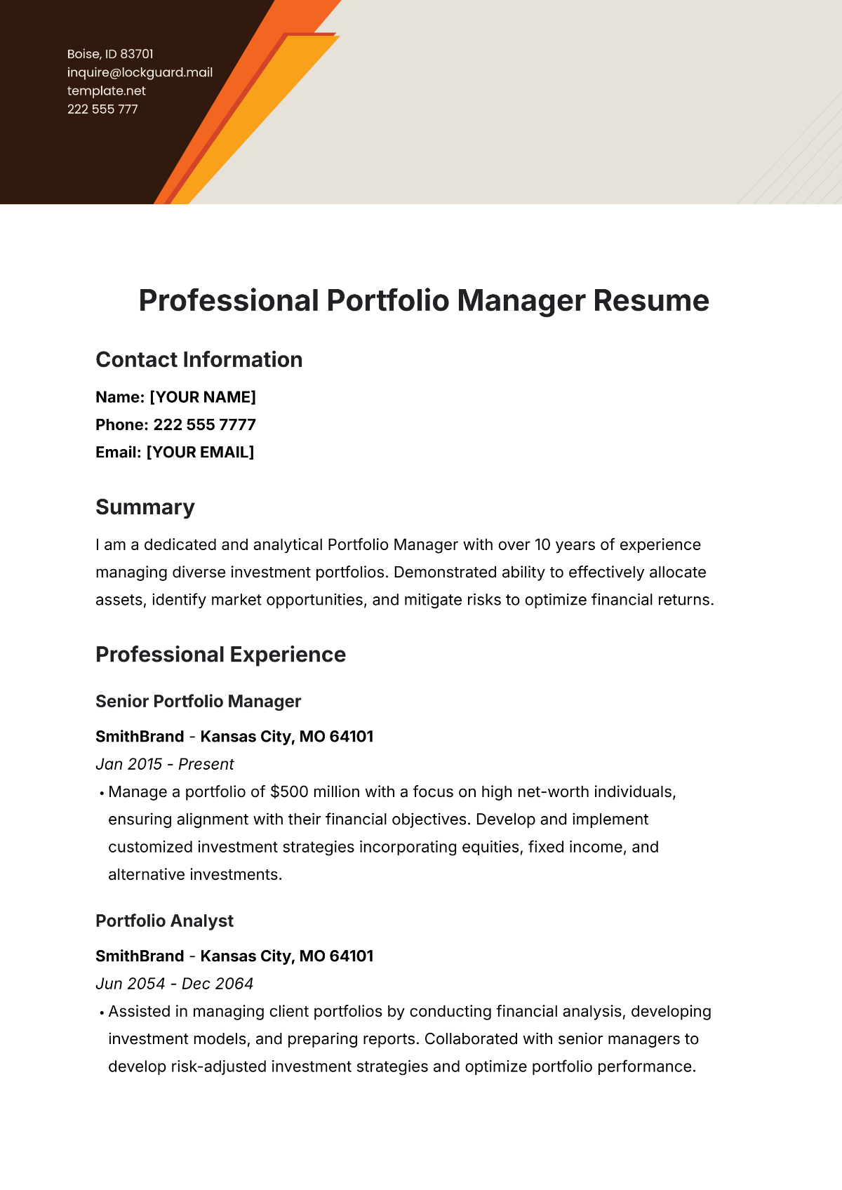 Professional Portfolio Manager Resume Template