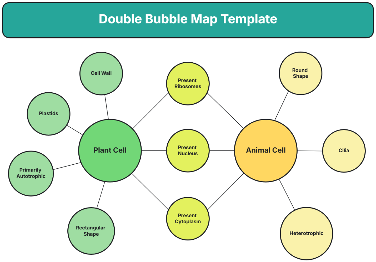 Double Bubble Map Template - Edit Online & Download