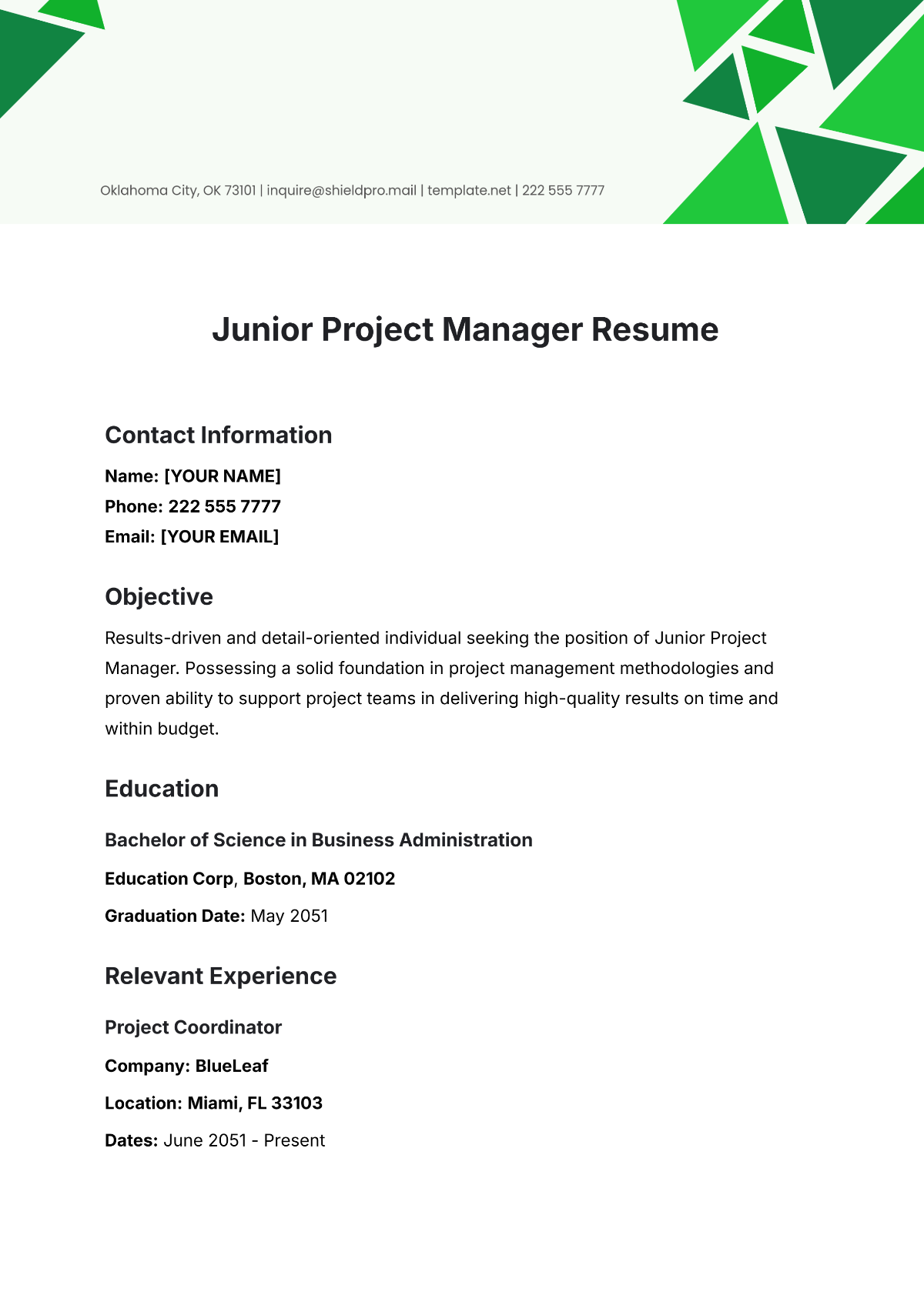 Junior Project Manager Resume Template