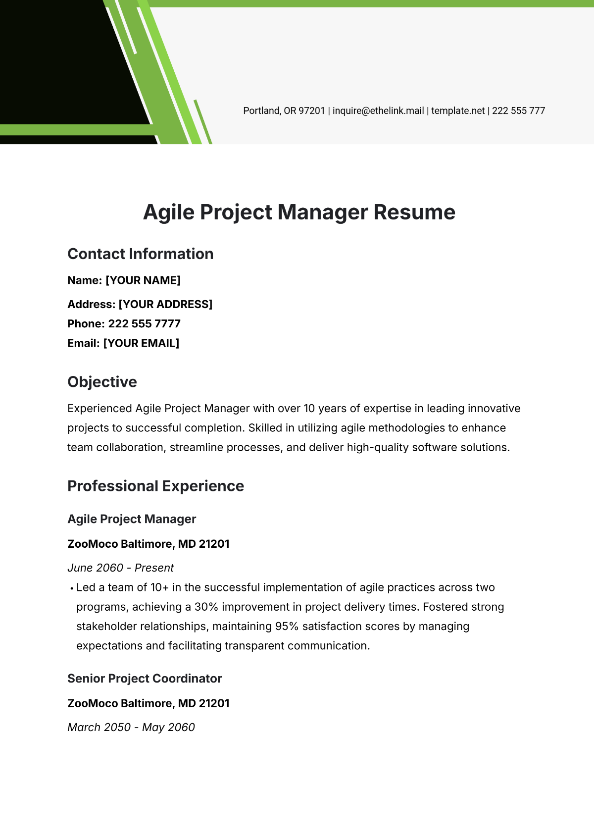 Agile Project Manager Resume Template