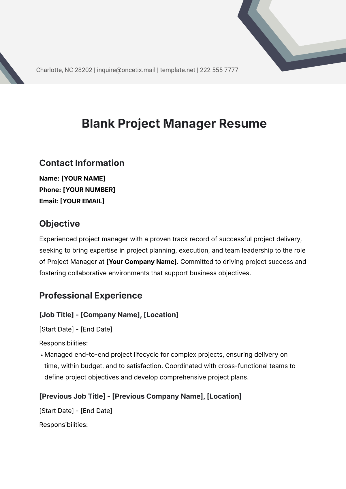 Blank Project Manager Resume Template