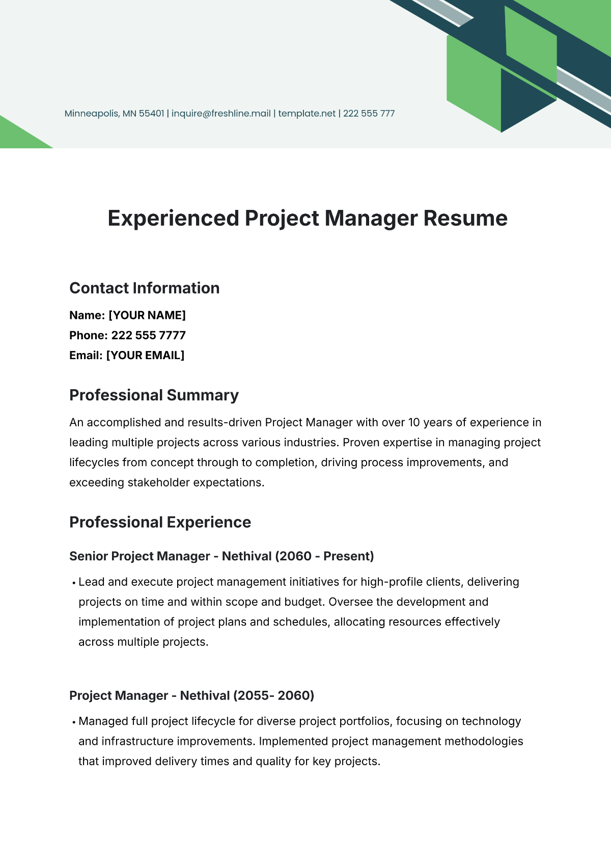 Experienced Project Manager Resume Template