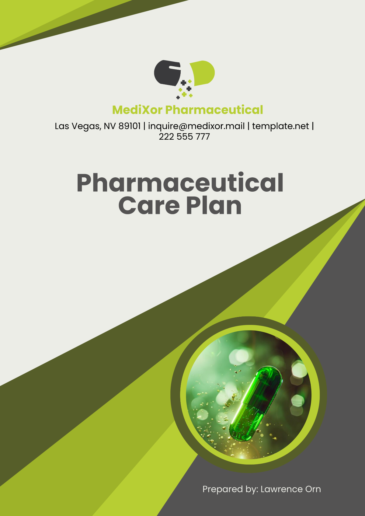 Pharmaceutical Care Plan Template - Edit Online & Download