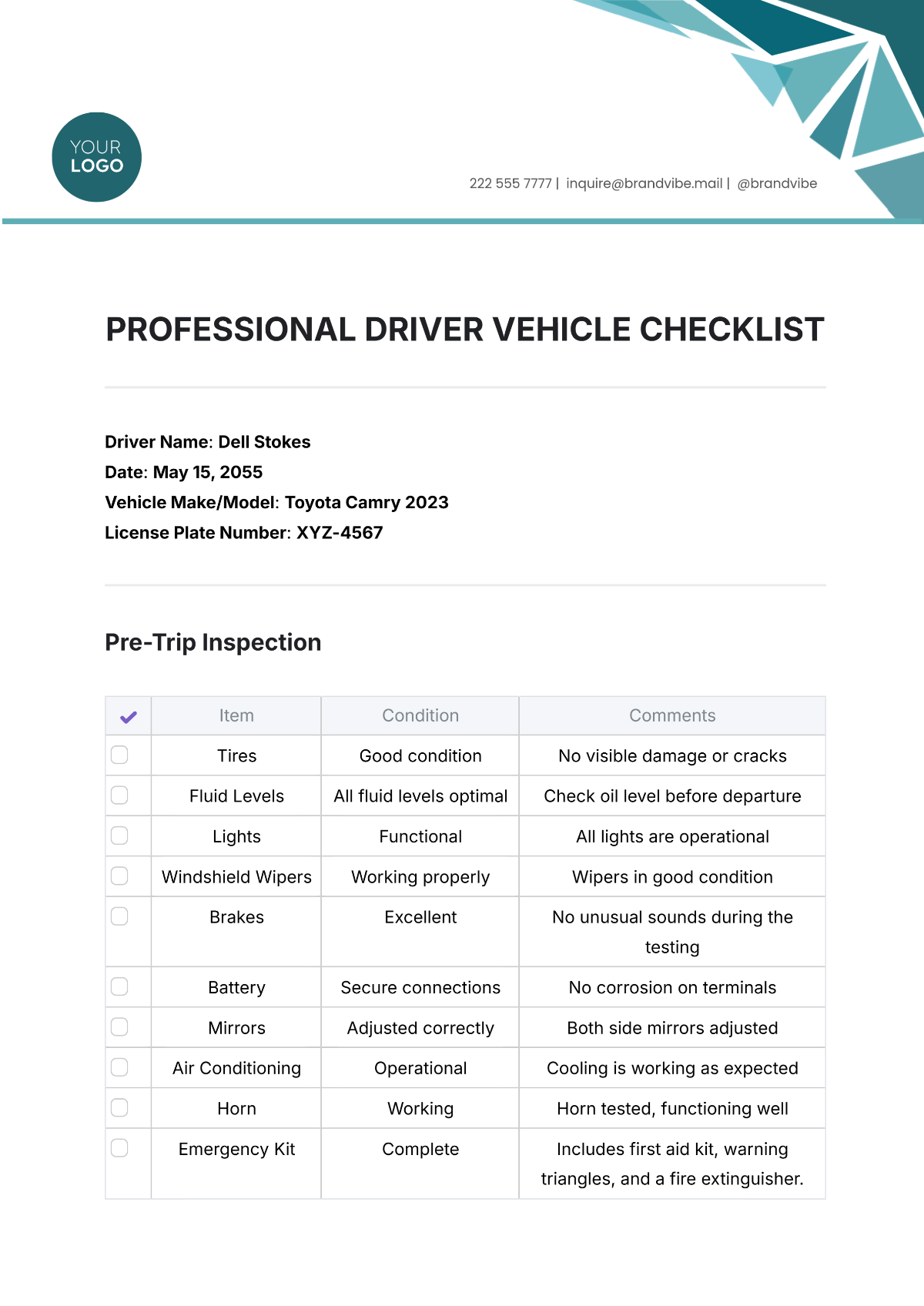 Professional Driver Vehicle Checklist Template - Edit Online & Download