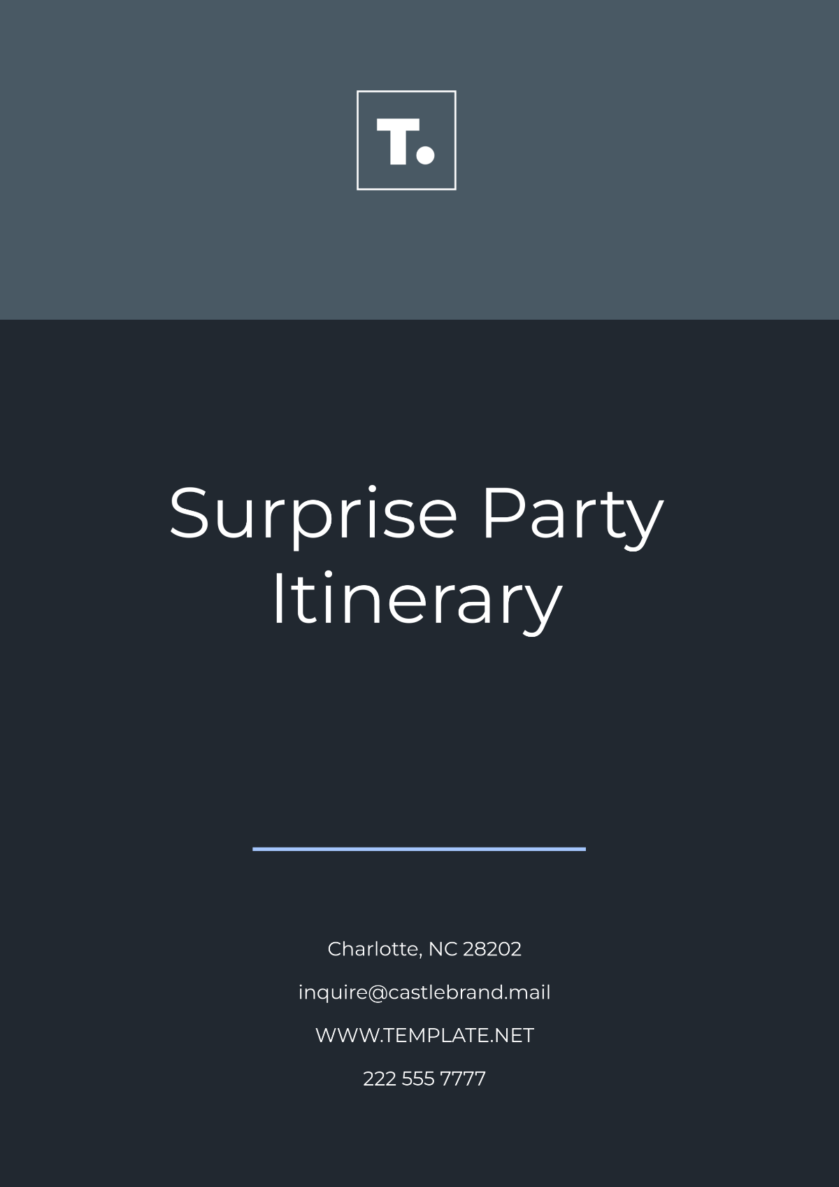 Surprise Party Itinerary Template - Edit Online & Download