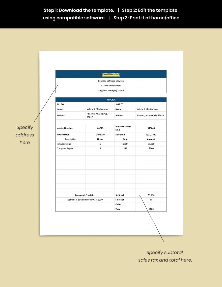 Software Services Invoice Template