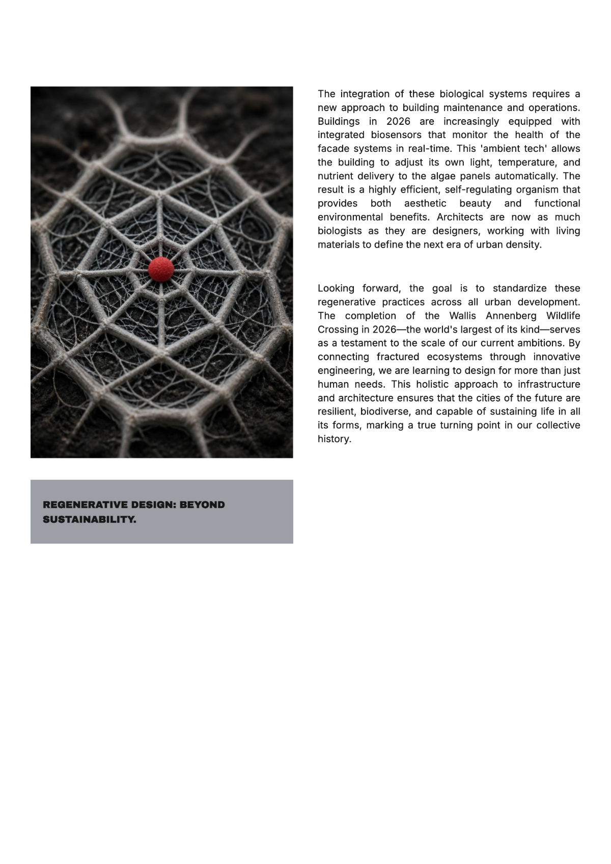 Free Modern Magazine Template to Edit Online