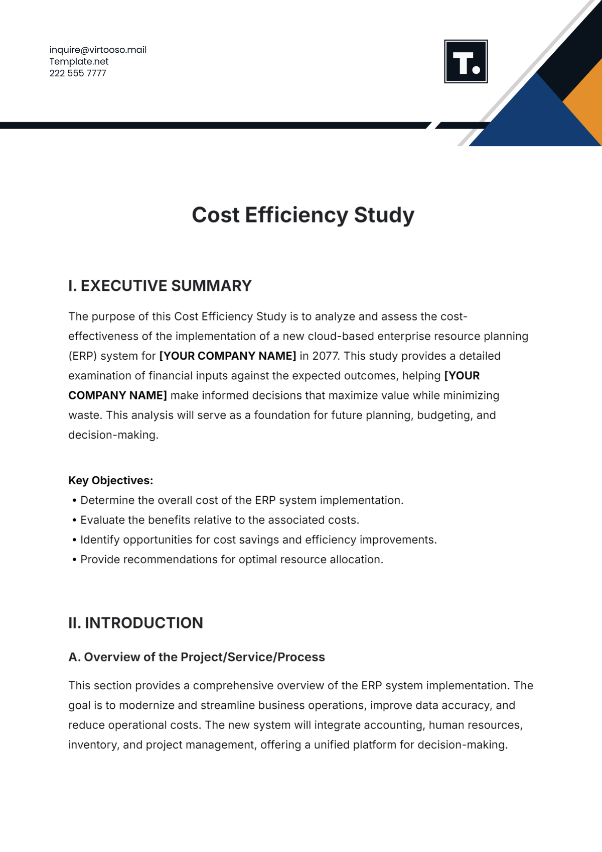 Free Cost Efficiency Study Template