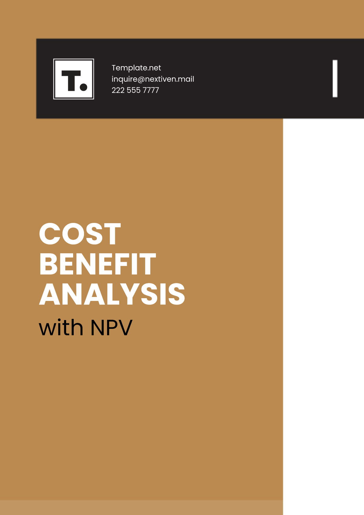 Cost Benefit Analysis with NPV Template - Edit Online & Download