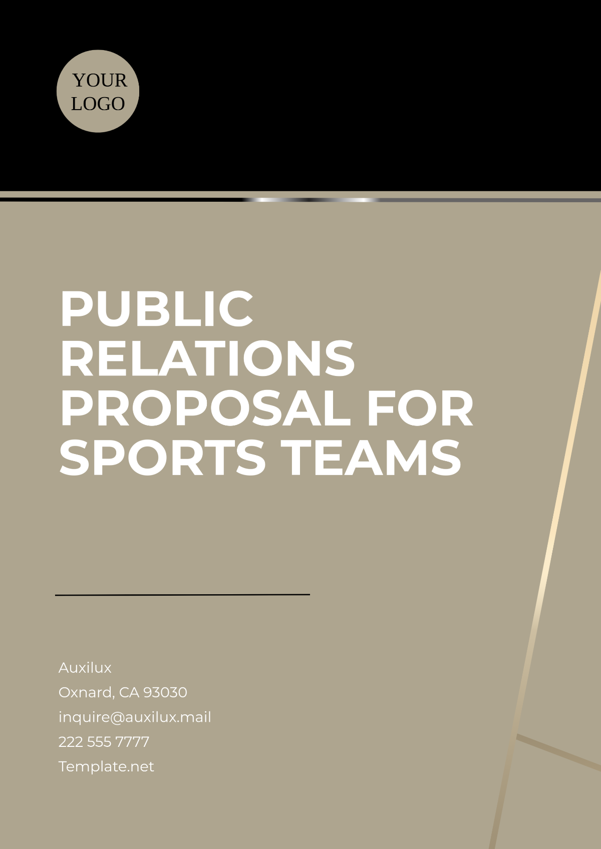 Public Relations Proposal for Sports Teams Template - Edit Online & Download