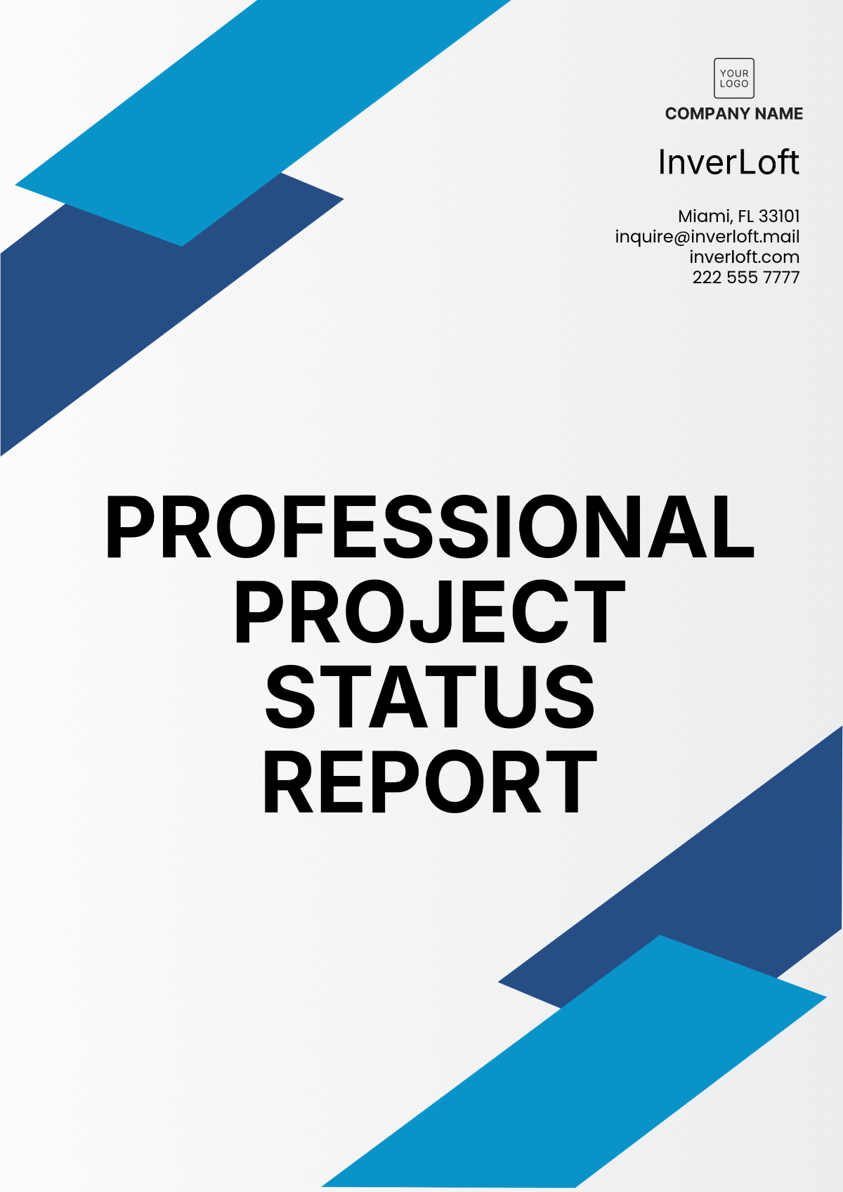 Professional Project Status Report Template - Edit Online & Download