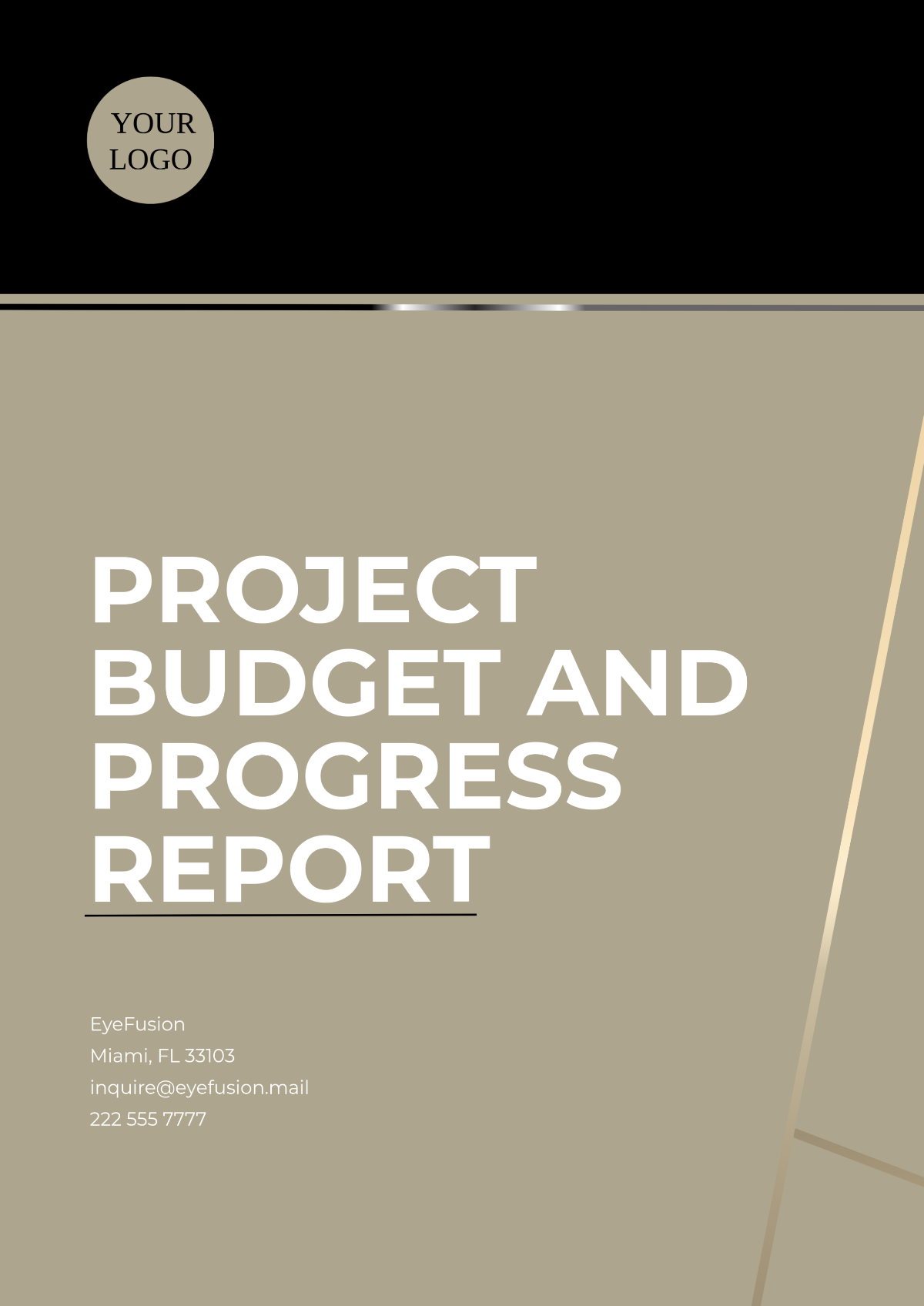 Project Budget and Progress Report Template - Edit Online & Download