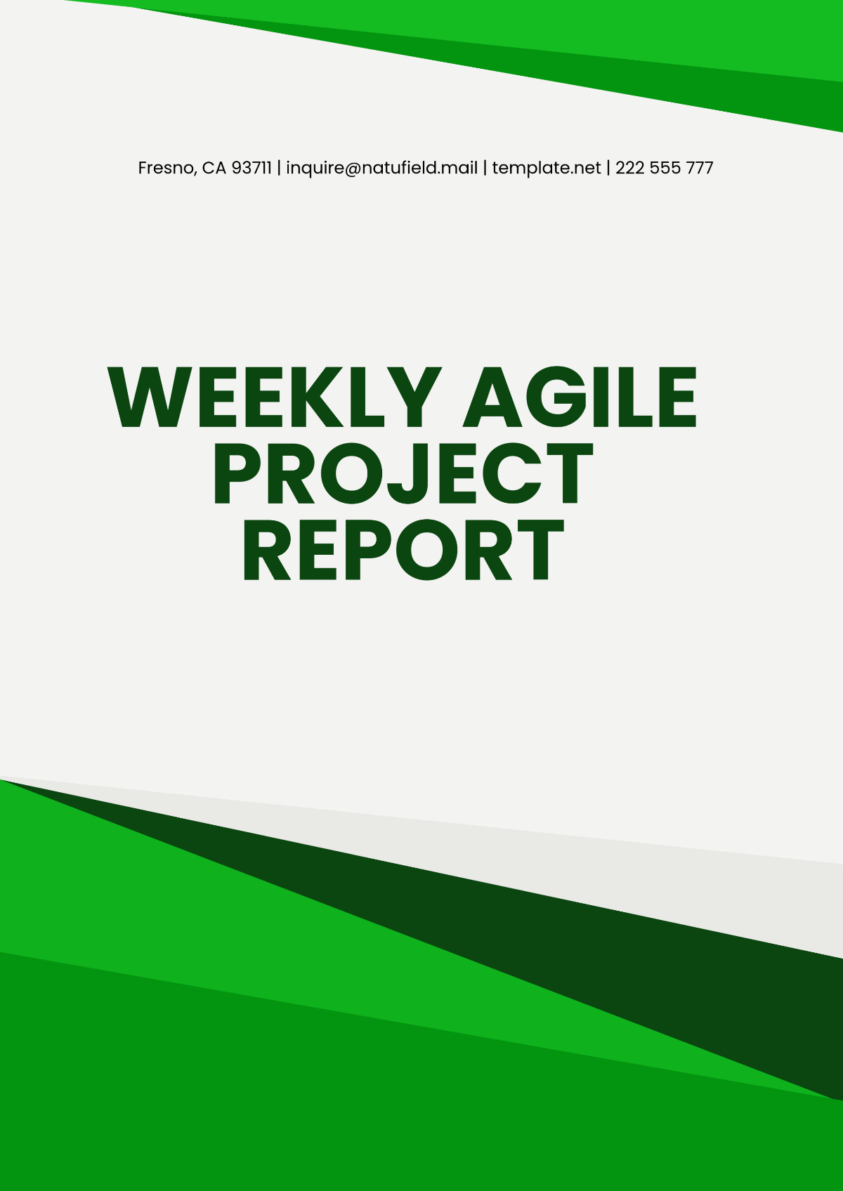 Weekly Agile Project Report Template - Edit Online & Download