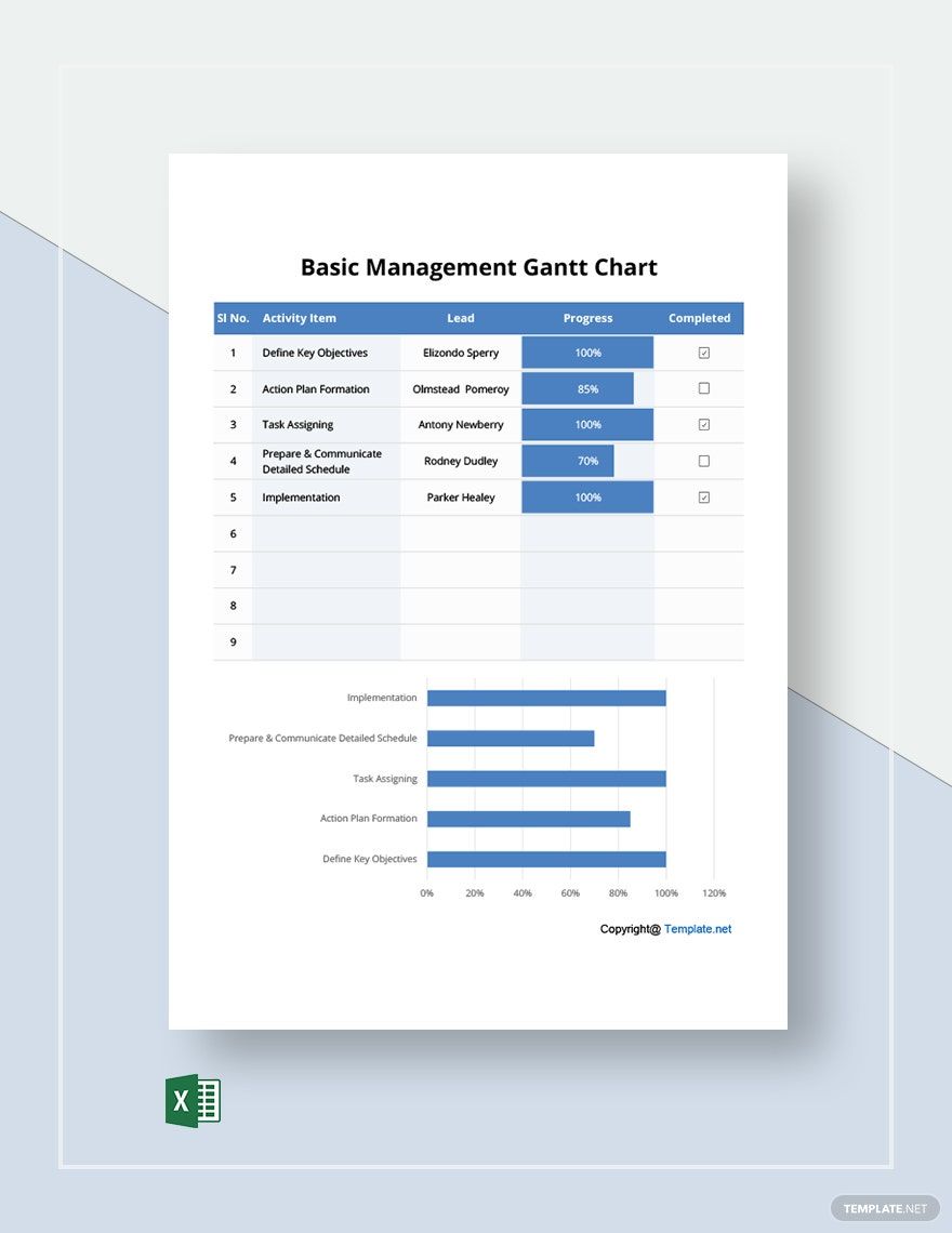 Basic Management Gantt Chart Template