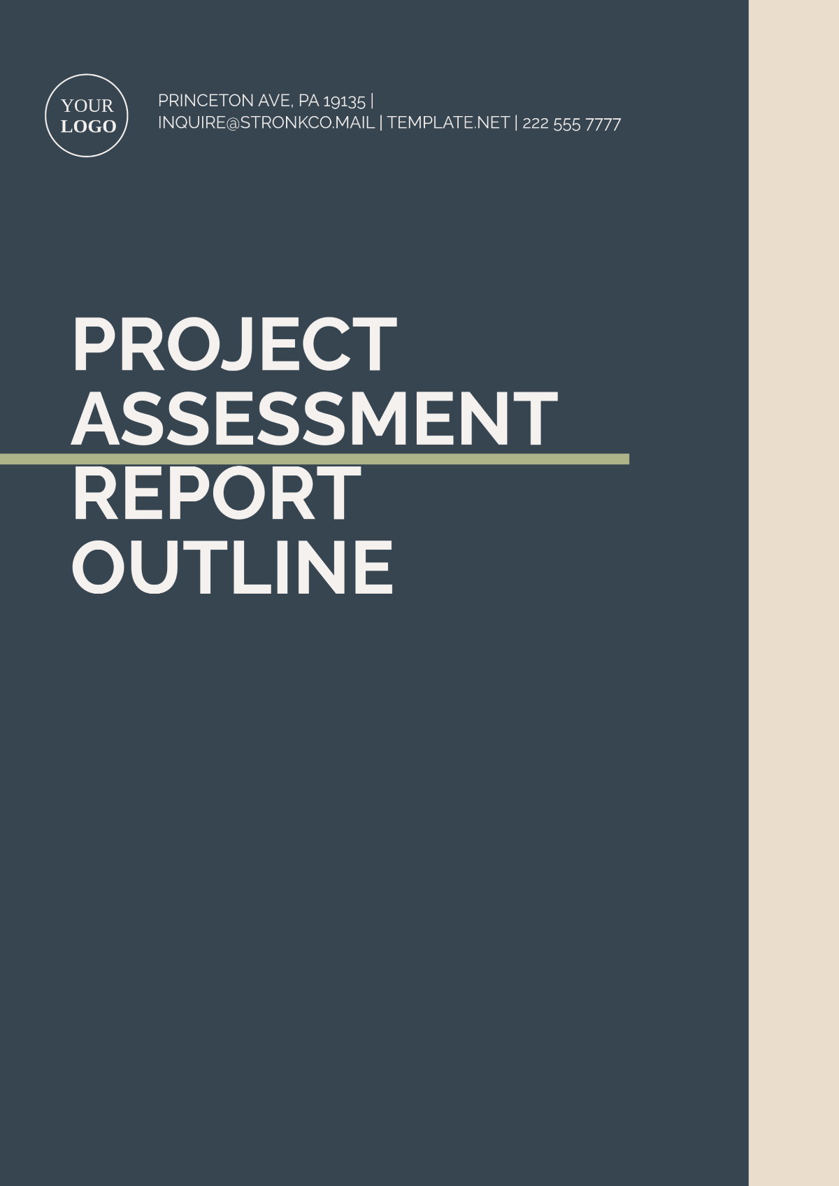 Project Assessment Report Outline Template - Edit Online & Download