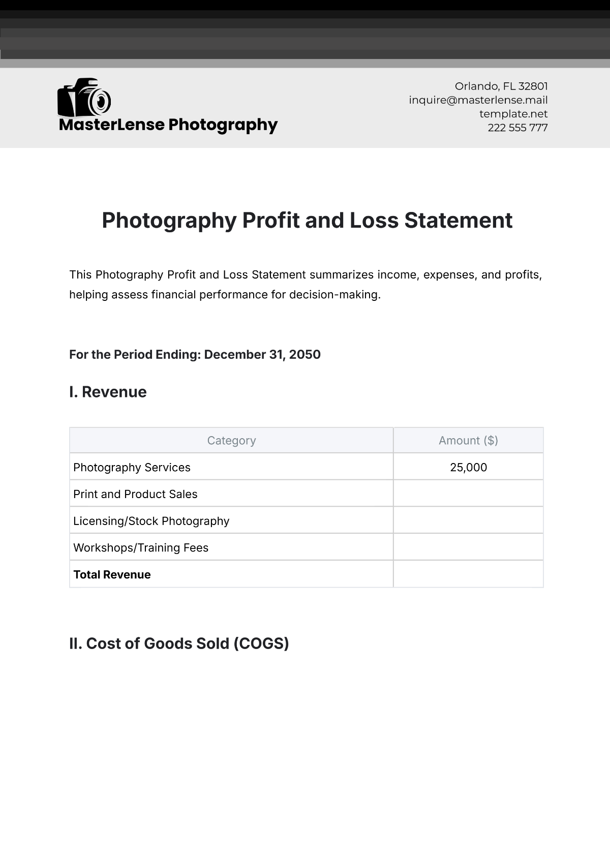 Photography Profit and Loss Statement Template - Edit Online & Download