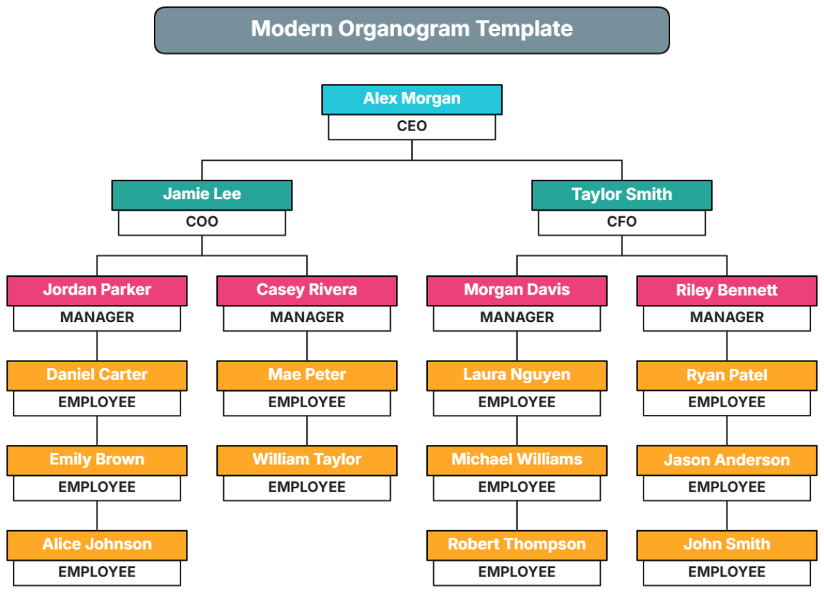 Modern Organogram Template - Edit Online & Download