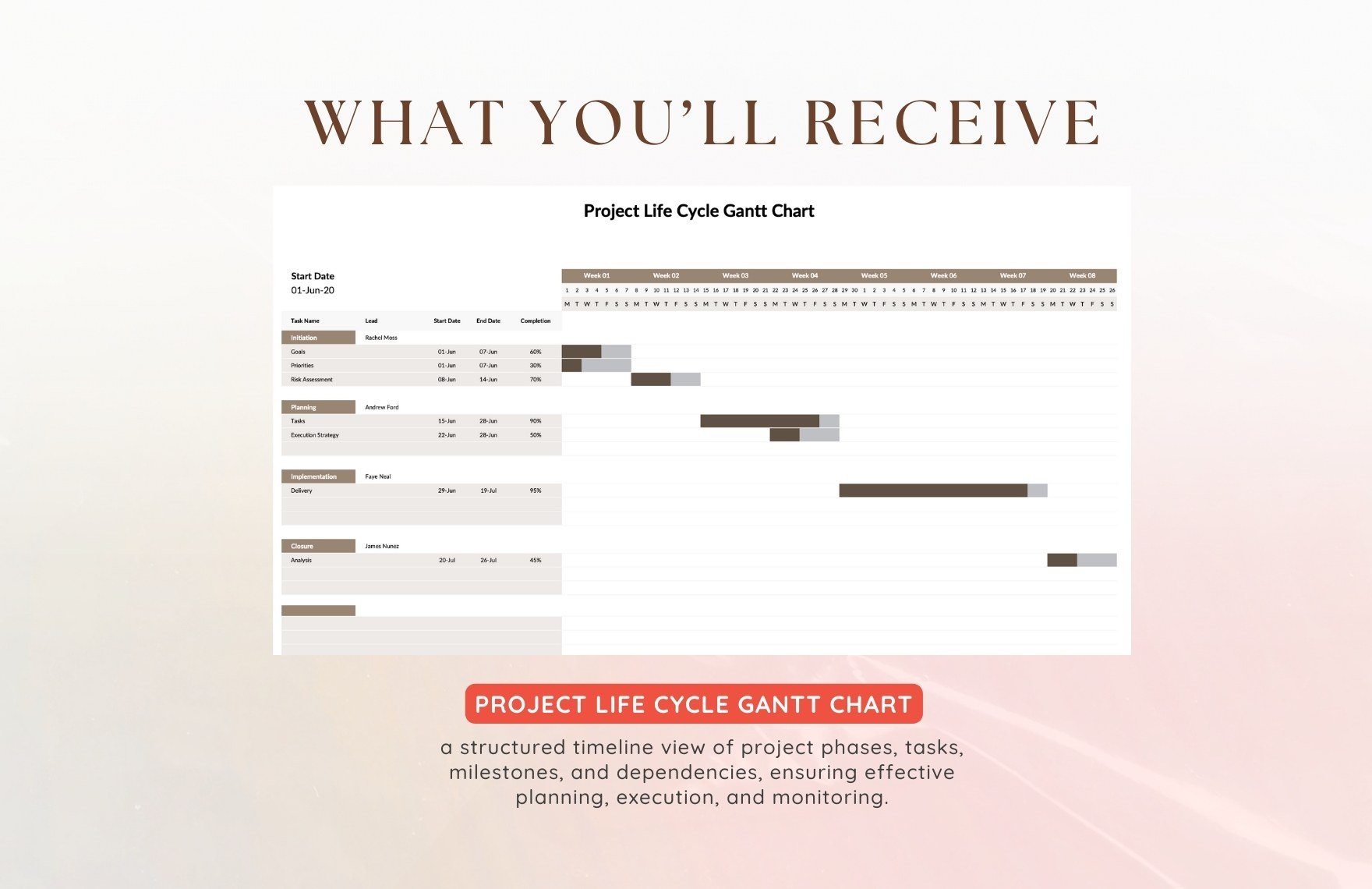 Project Life Cycle Gantt Chart Template