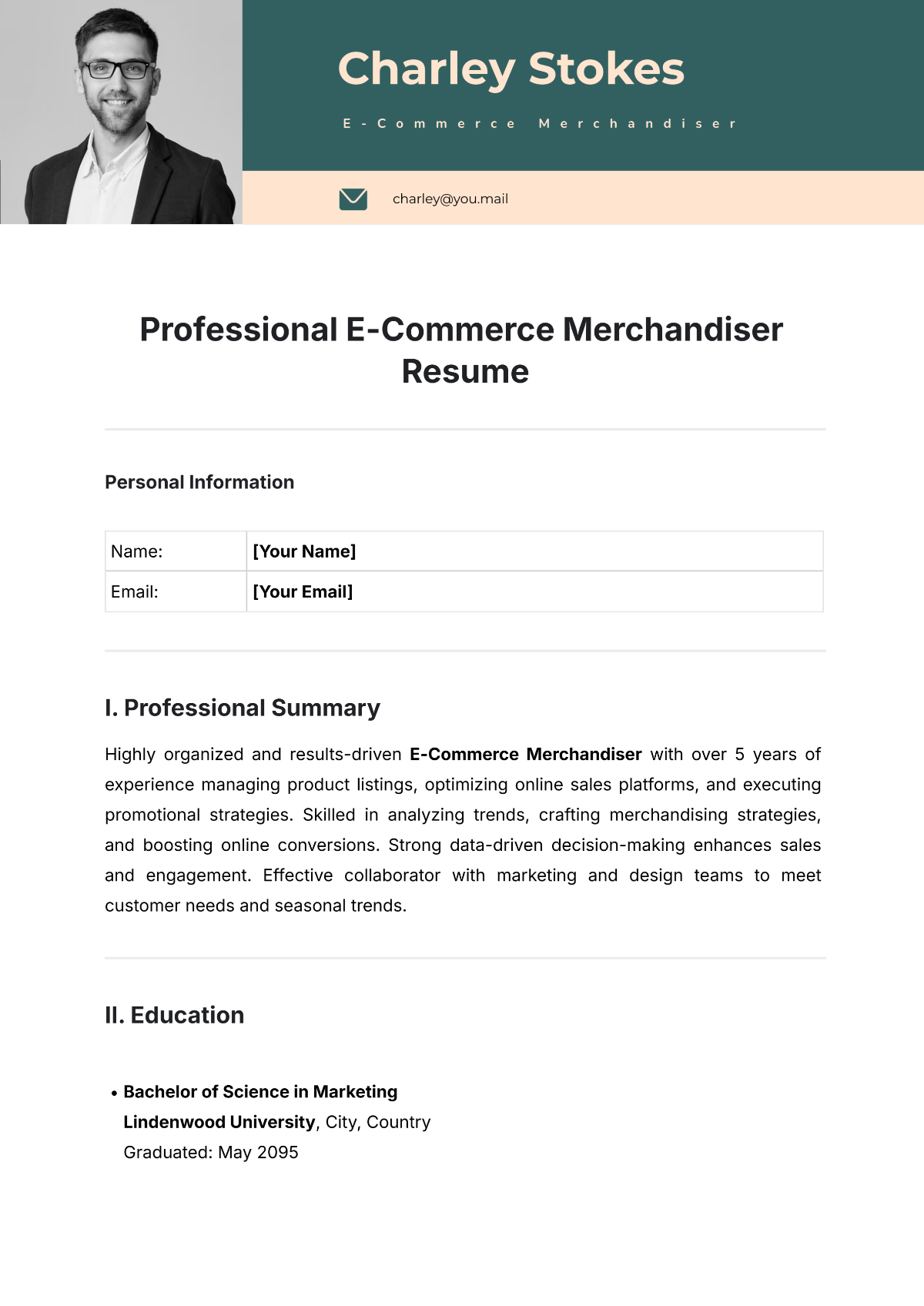 Professional E-Commerce Merchandiser Resume Template - Edit Online & Download