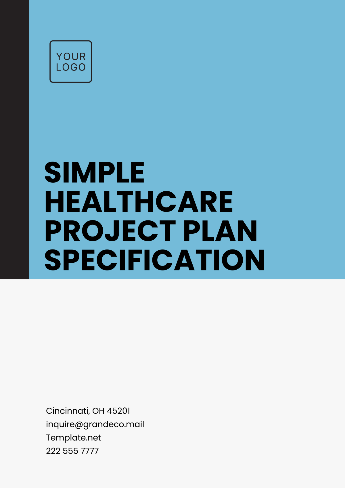 Simple Healthcare Project Plan Specification Template - Edit Online & Download