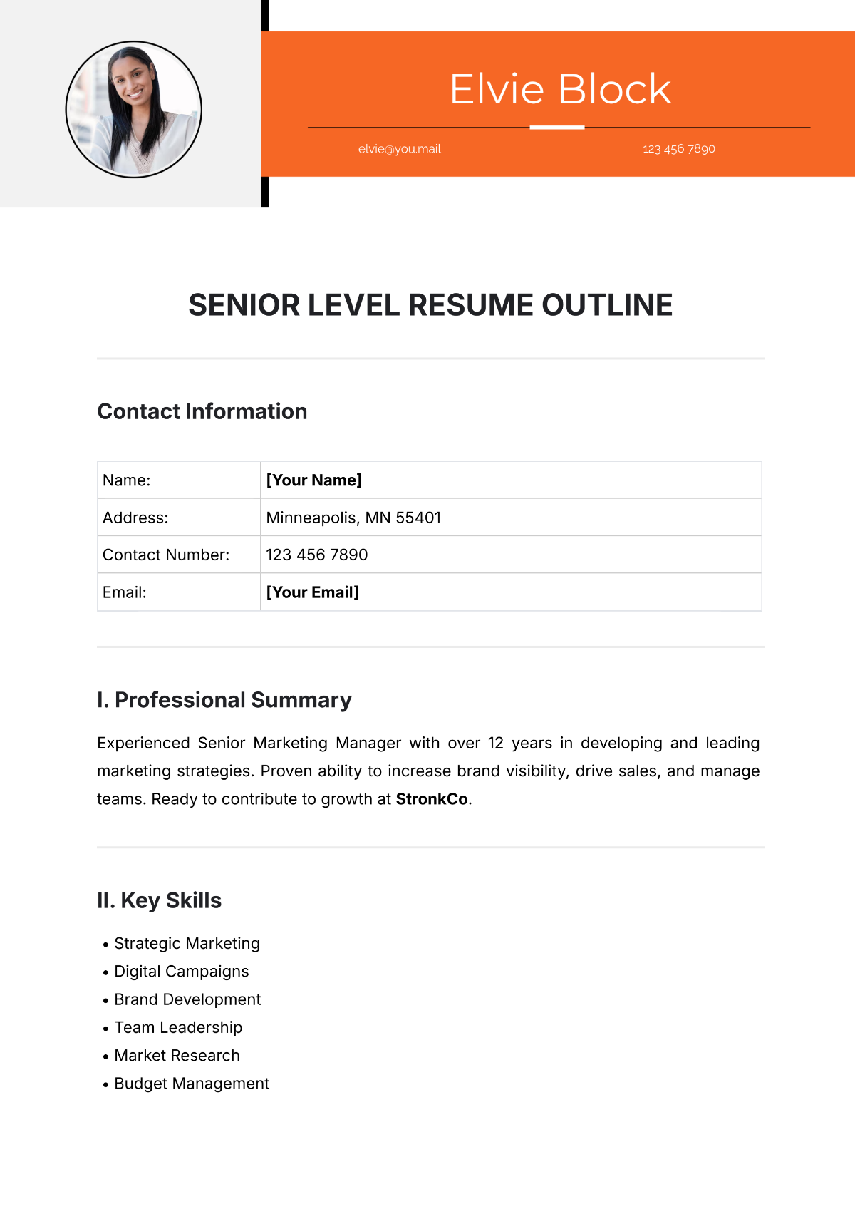 Senior-Level Resume Outline Template - Edit Online & Download