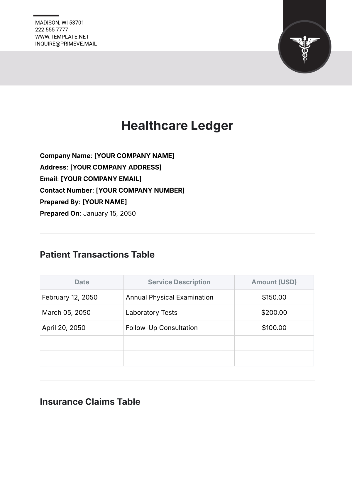 Healthcare Ledger Template - Edit Online & Download