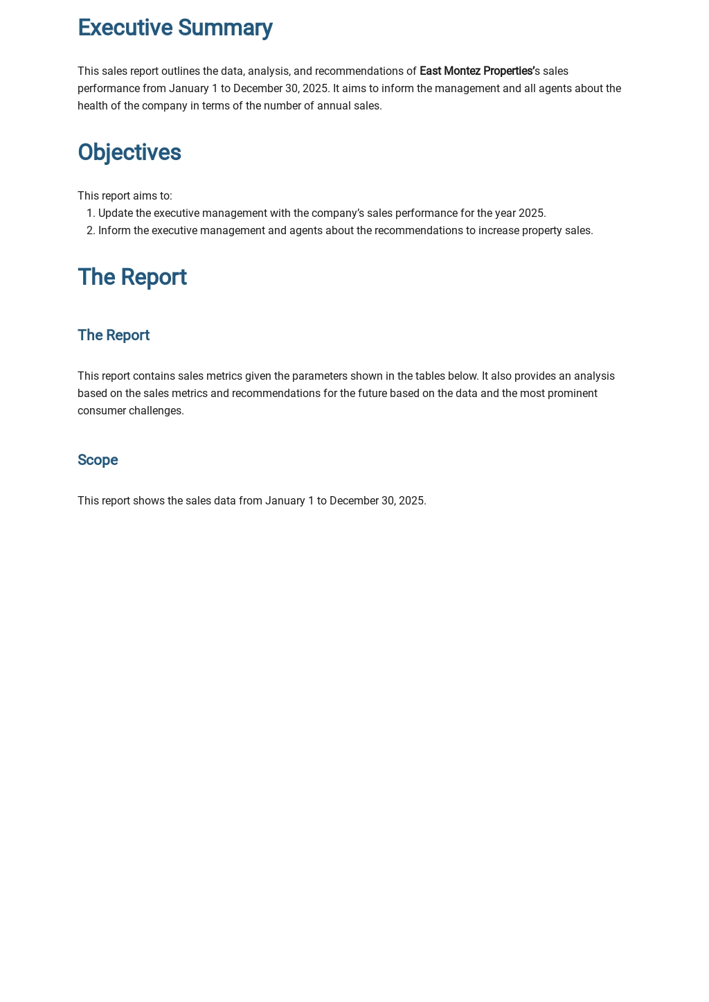 Real Estate Sales Report Template Free PDF Word DOC Google Docs