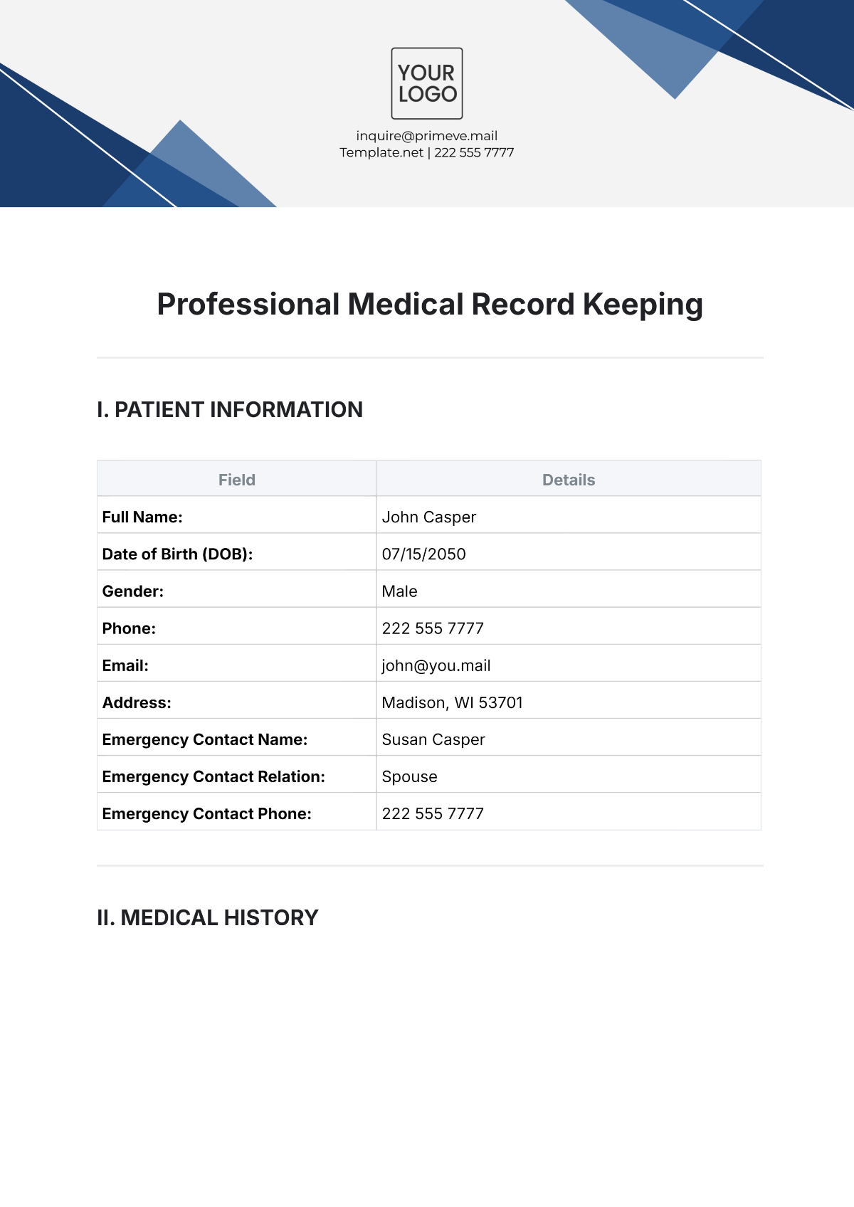 Professional Medical Record Keeping Template - Edit Online & Download