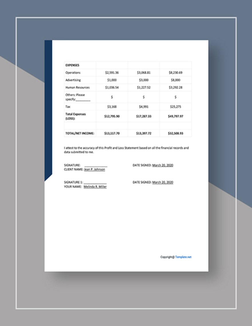 Real Estate Profit And Loss Statement Template