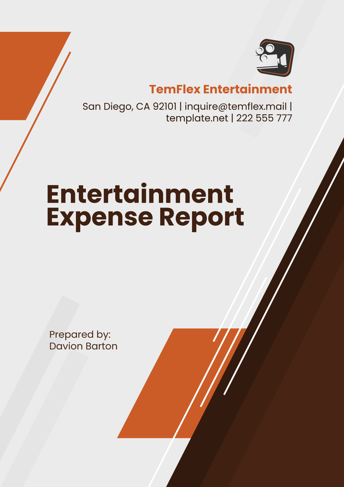 Free Entertainment Expense Report Template