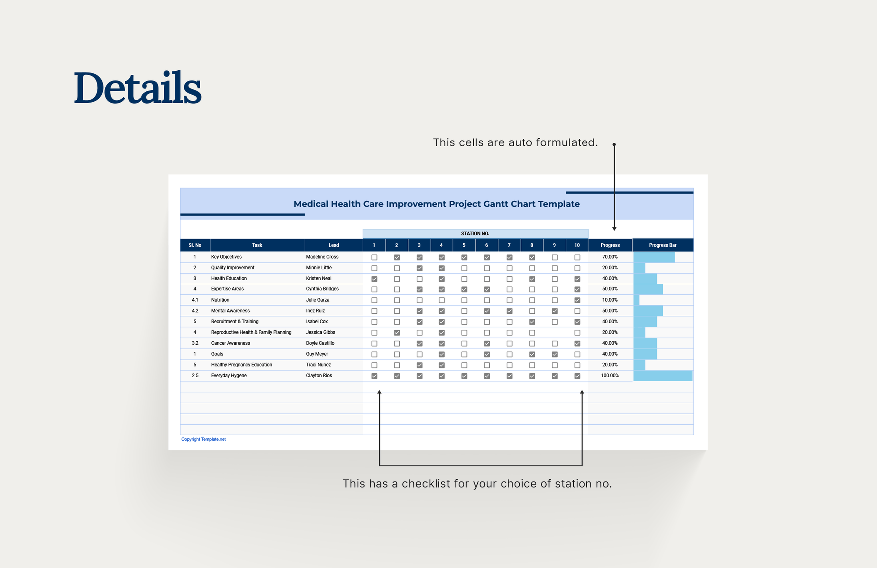 Medical Health Care Improvement Project Gantt Chart Template