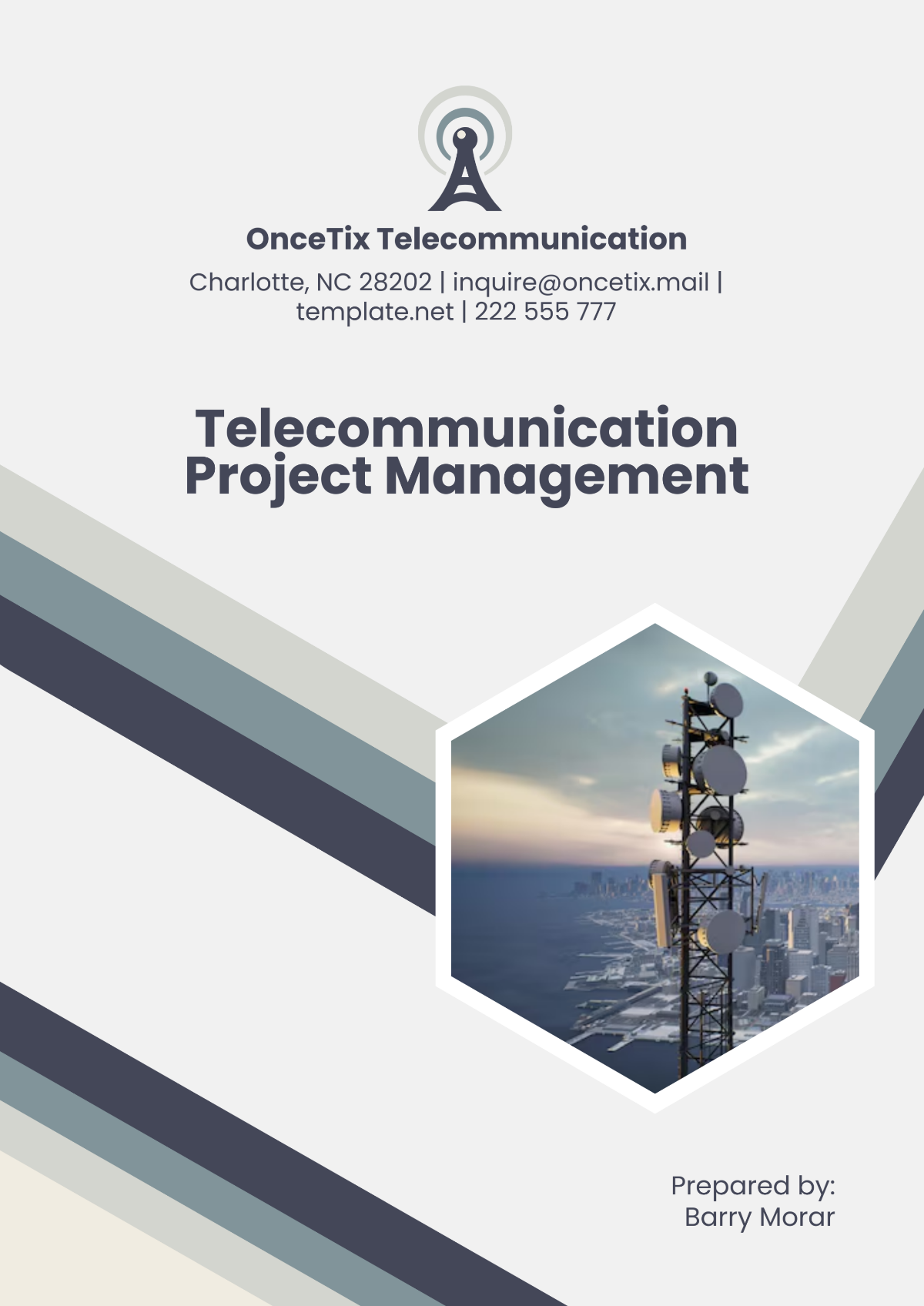 Telecommunication Project Management Template - Edit Online & Download