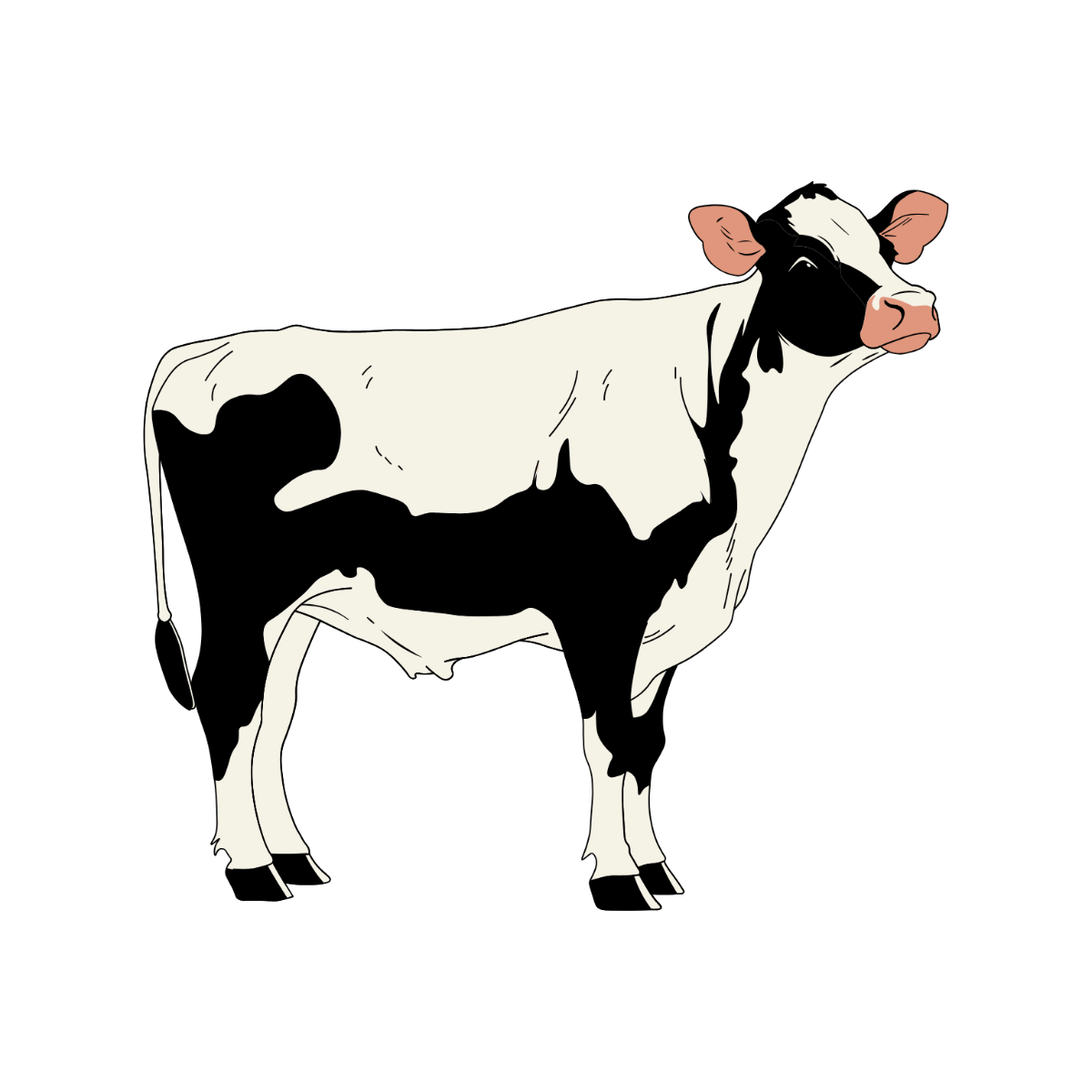 Free Realistic Cow Clipart Template - Edit Online & Download