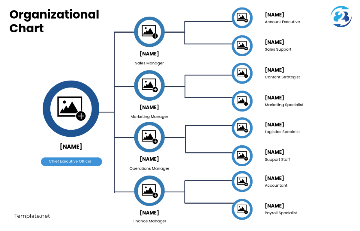 Free B2B Organizational Chart Template - Edit Online & Download