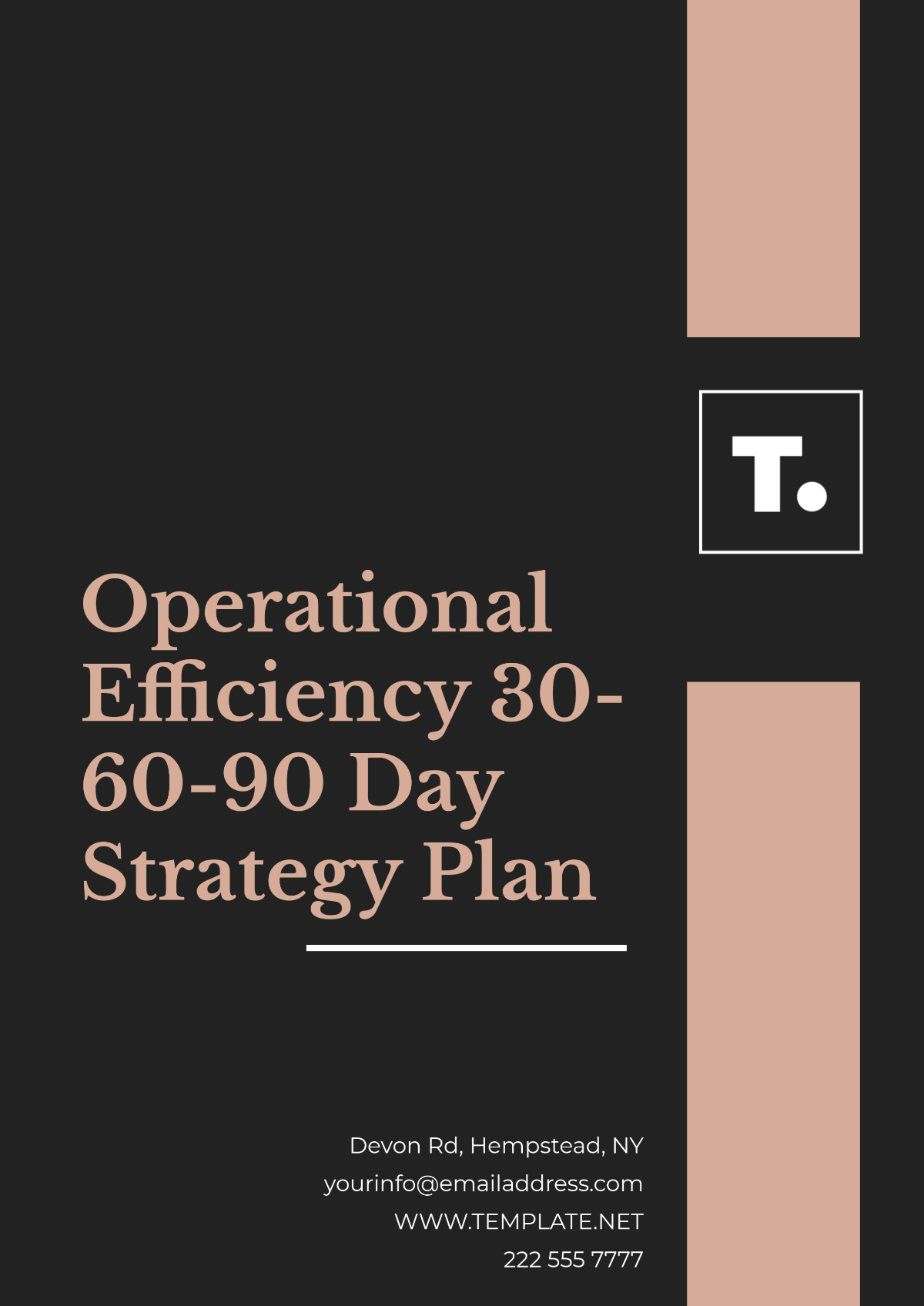 Operational Efficiency 30-60-90-Day Strategy  Plan Template - Edit Online & Download