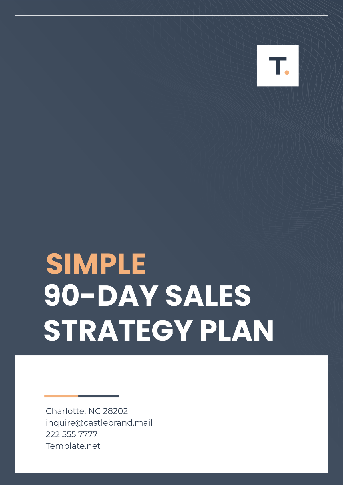 Simple 90-Day Sales Strategy Plan Template - Edit Online & Download