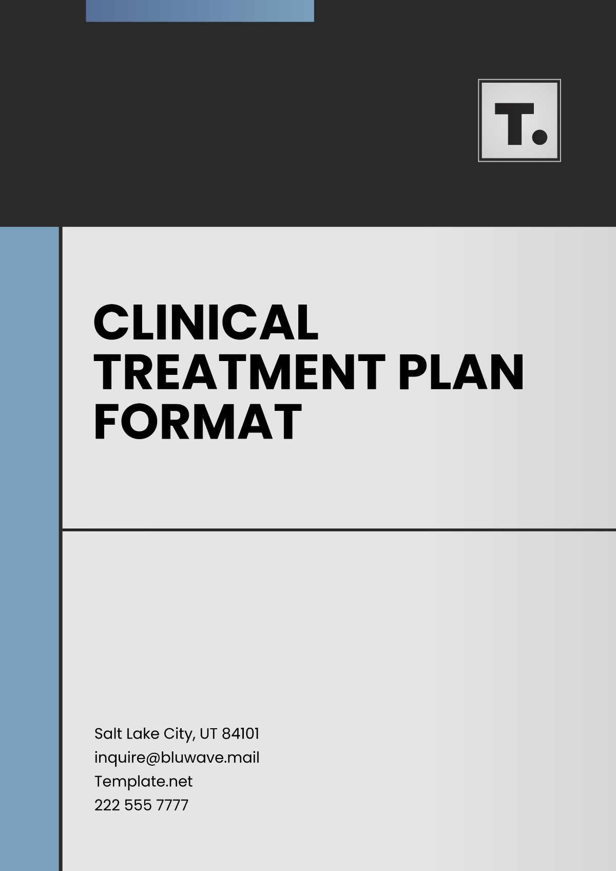 Clinical Treatment Plan Format Template - Edit Online & Download