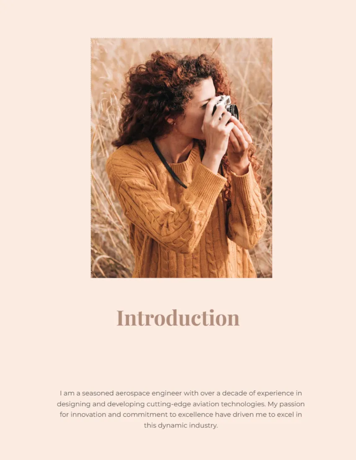 Free Aesthetic Portfolio Template to Edit Online Free Aesthetic Portfolio Template to Edit Online