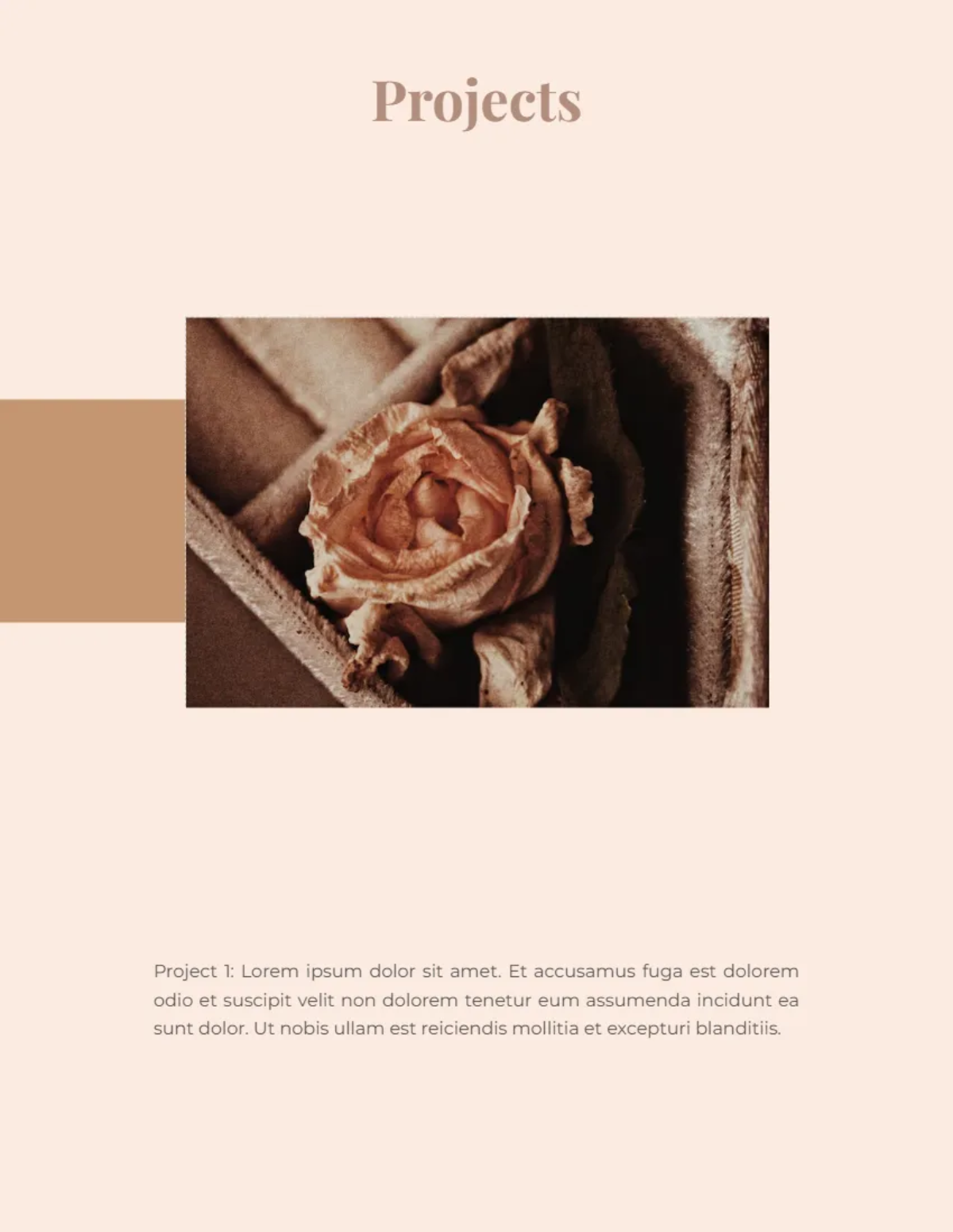 Free Aesthetic Portfolio Template to Edit Online Free Aesthetic Portfolio Template to Edit Online