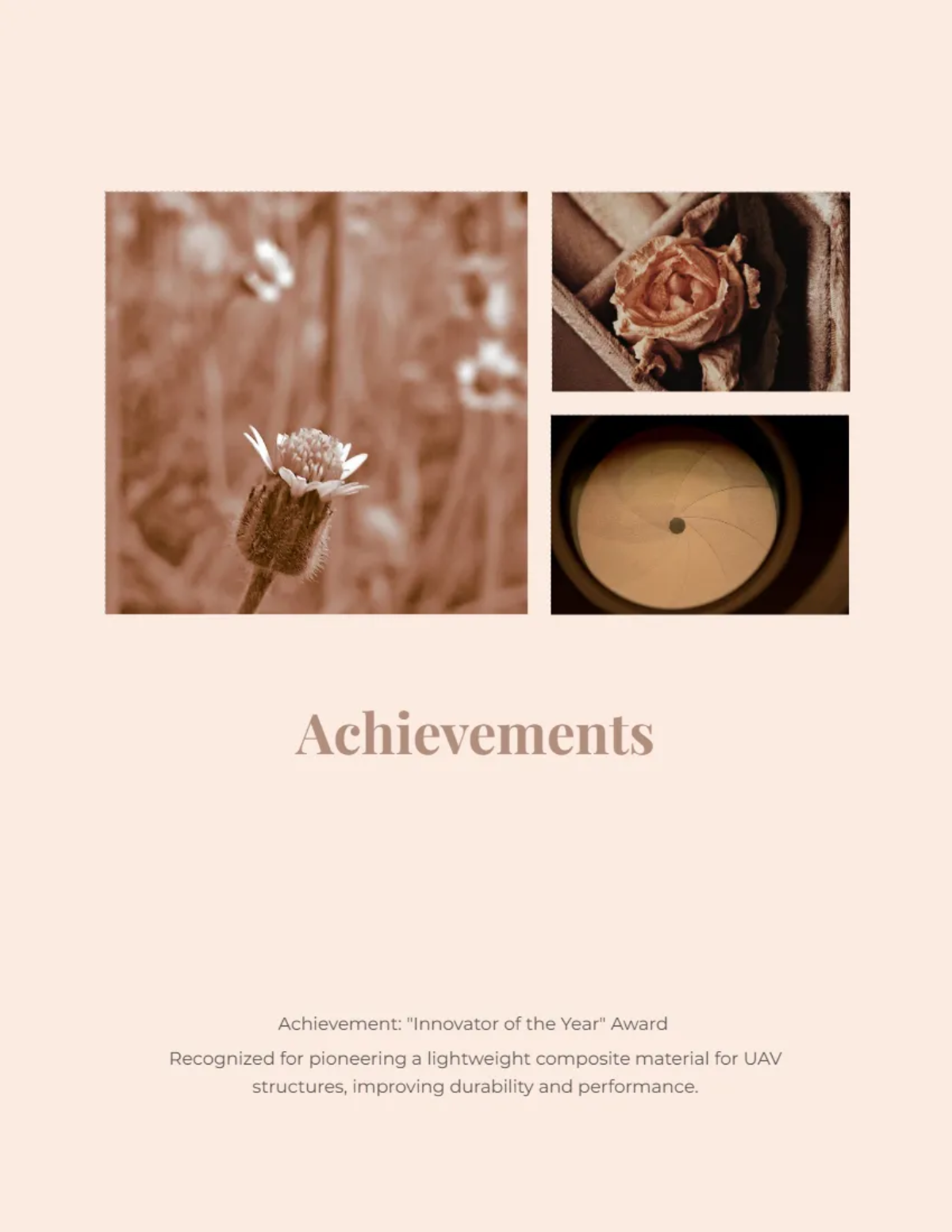 Free Aesthetic Portfolio Template to Edit Online Free Aesthetic Portfolio Template to Edit Online