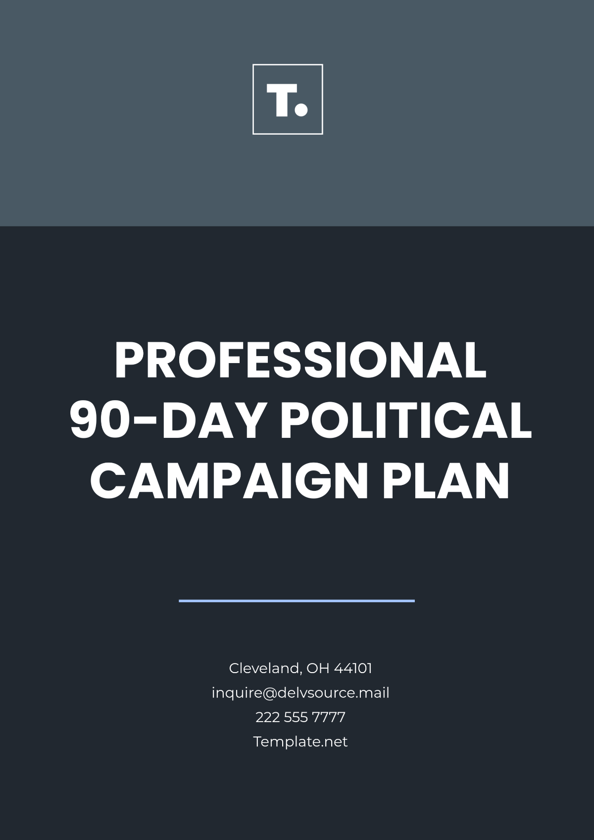 Professional 90-Day Political Campaign Plan Template - Edit Online & Download