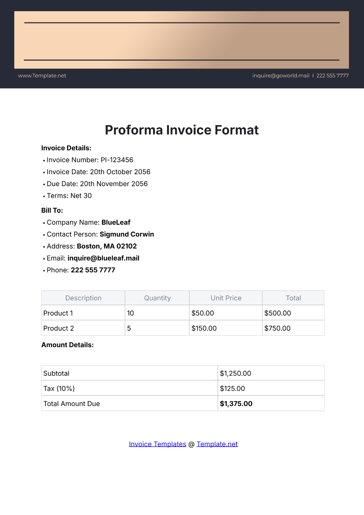 Proforma Invoice Format Template - Edit Online & Download