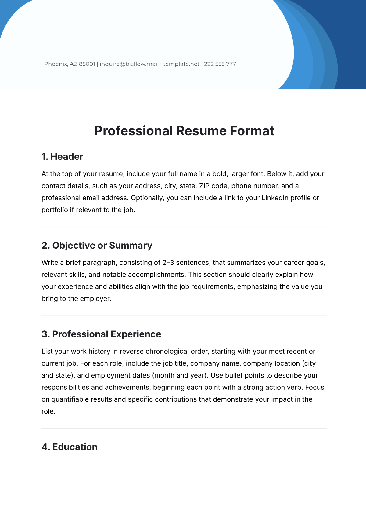 Professional Resume Format Template - Edit Online & Download