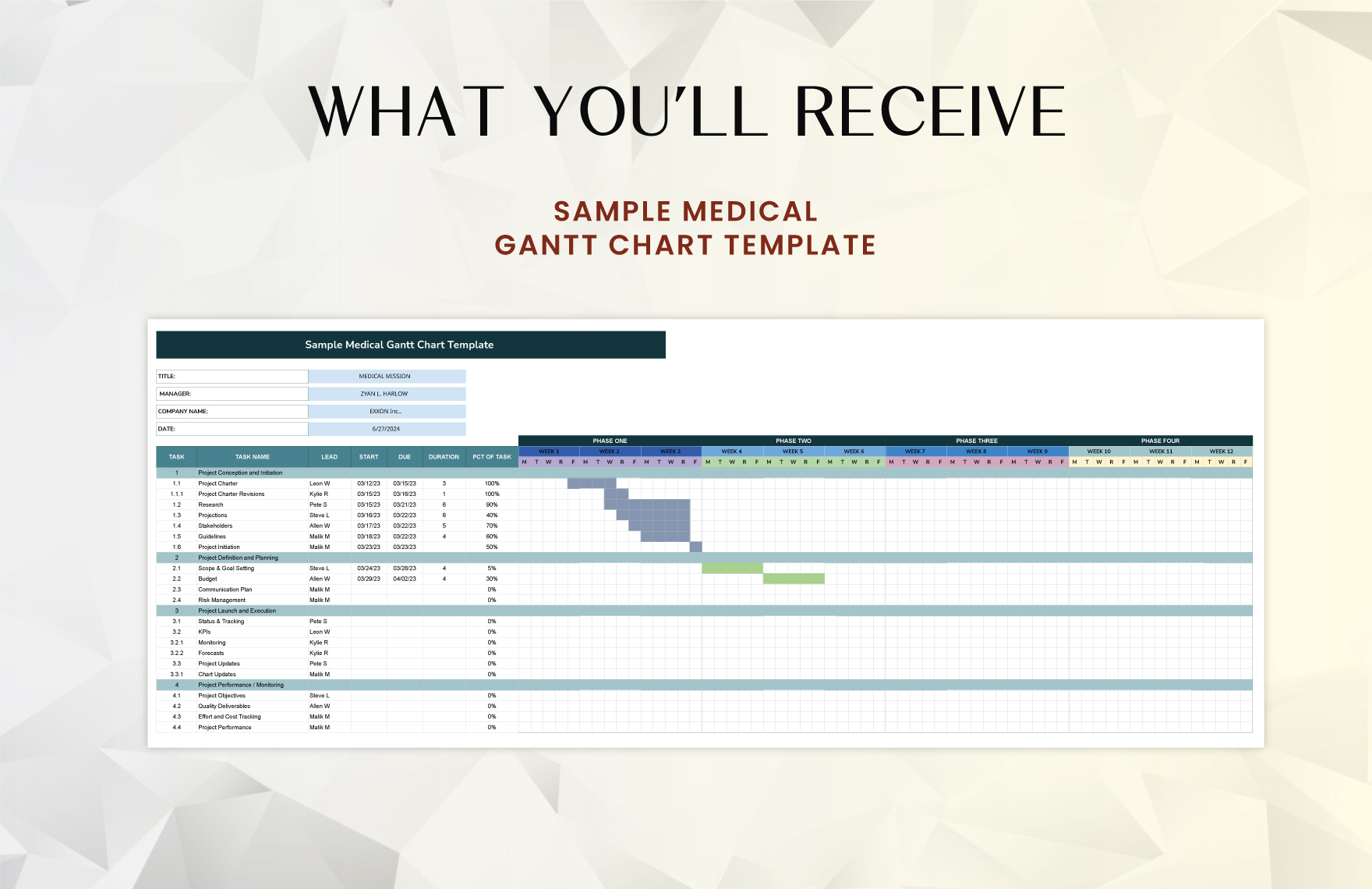 Sample Medical Gantt Chart Template