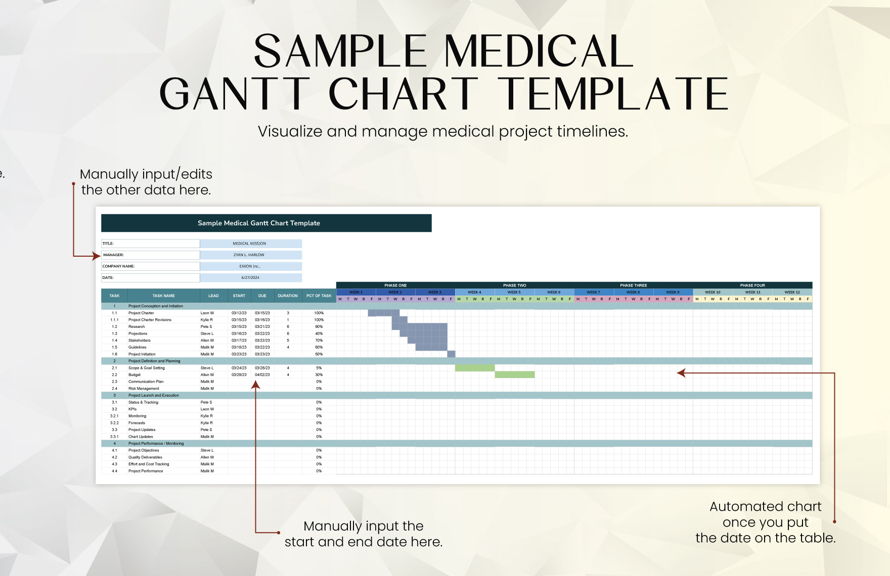 Sample Medical Gantt Chart Template