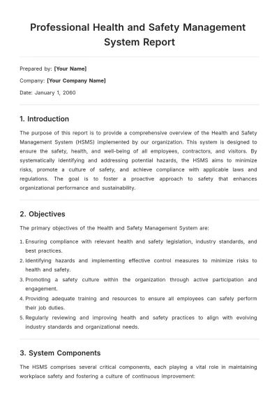 Free Professional Health and Safety Management System Report Template to Edit Online