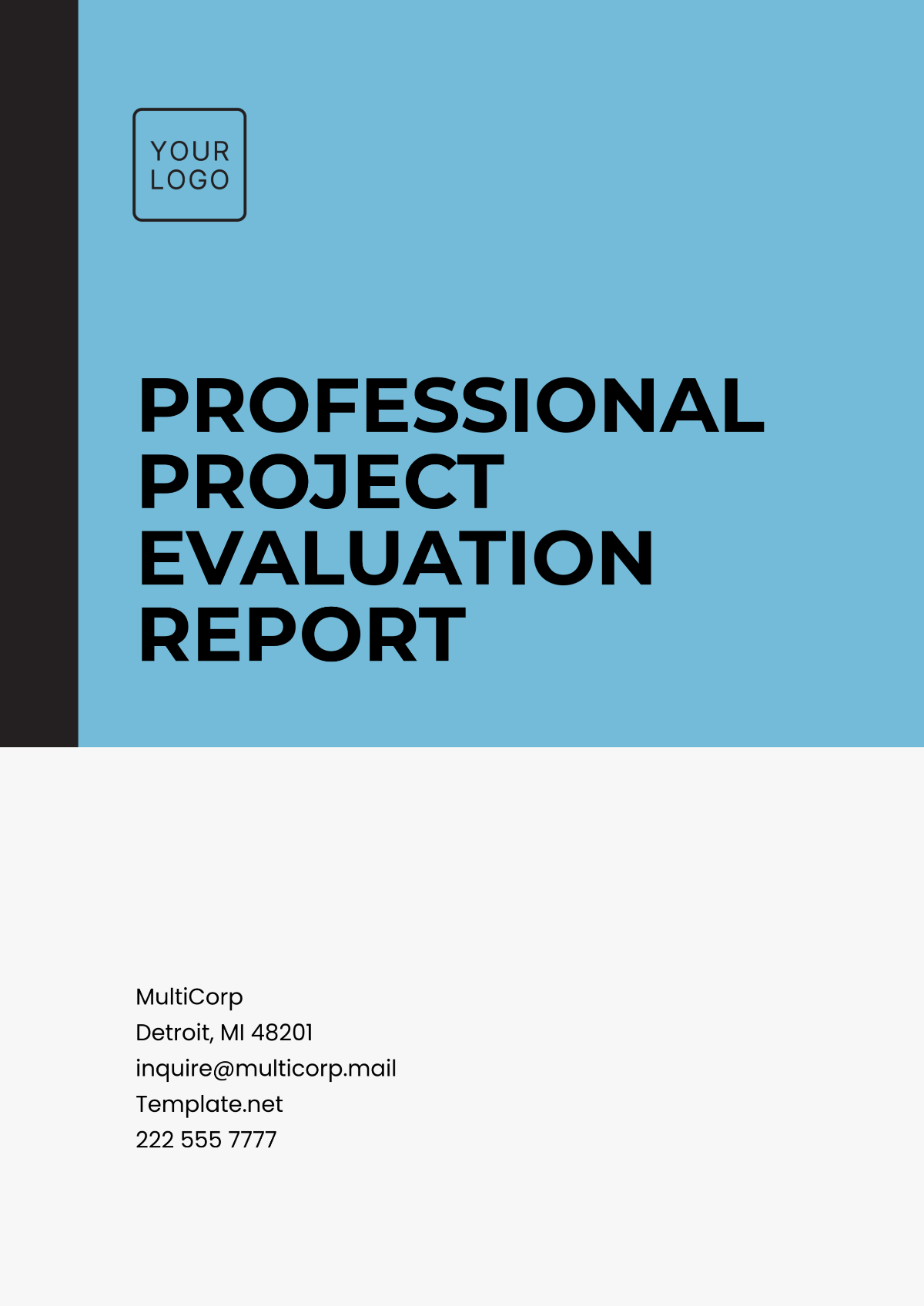 Professional Project Evaluation Report Template - Edit Online & Download