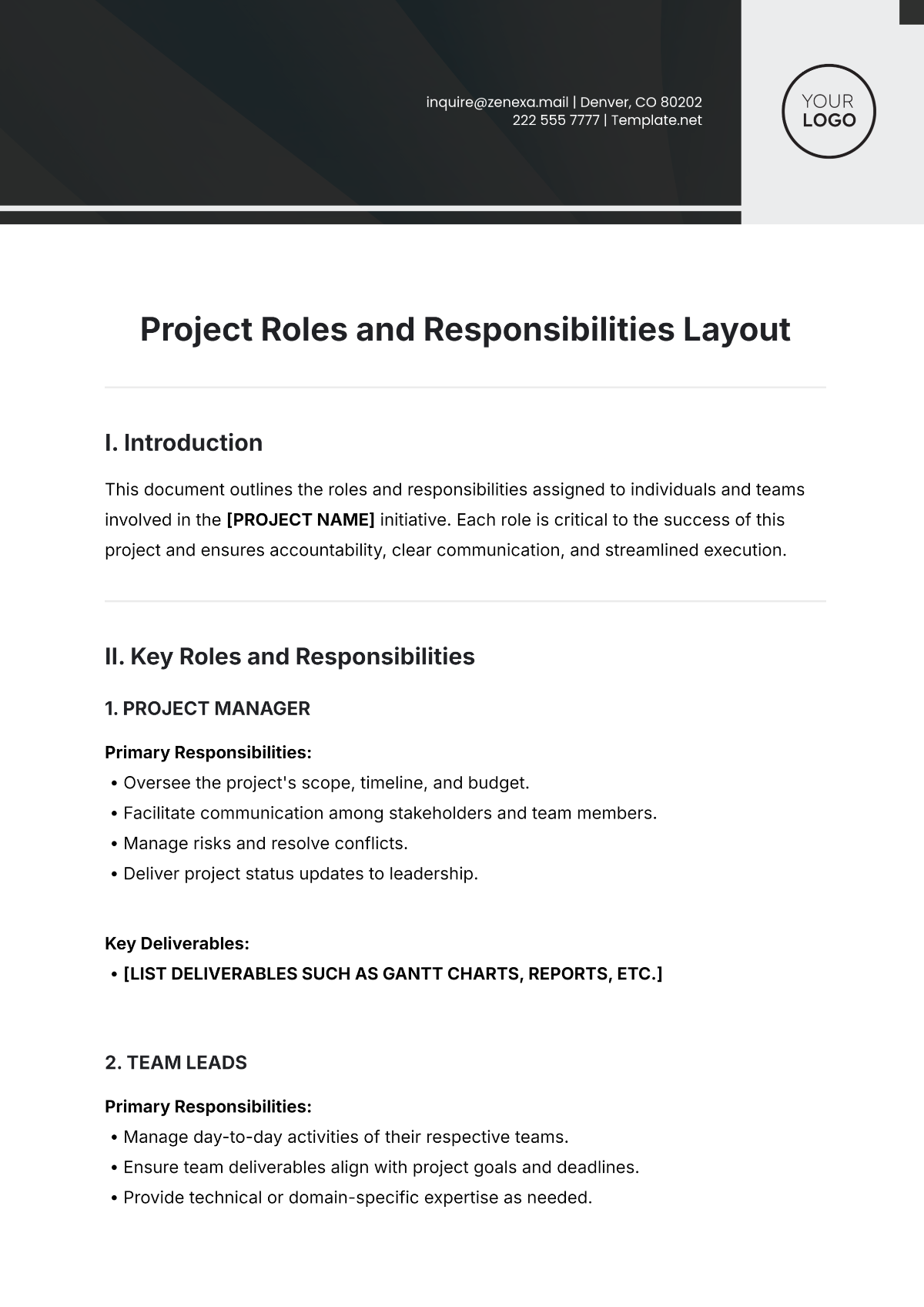 Project Roles and Responsibilities Layout Template - Edit Online & Download