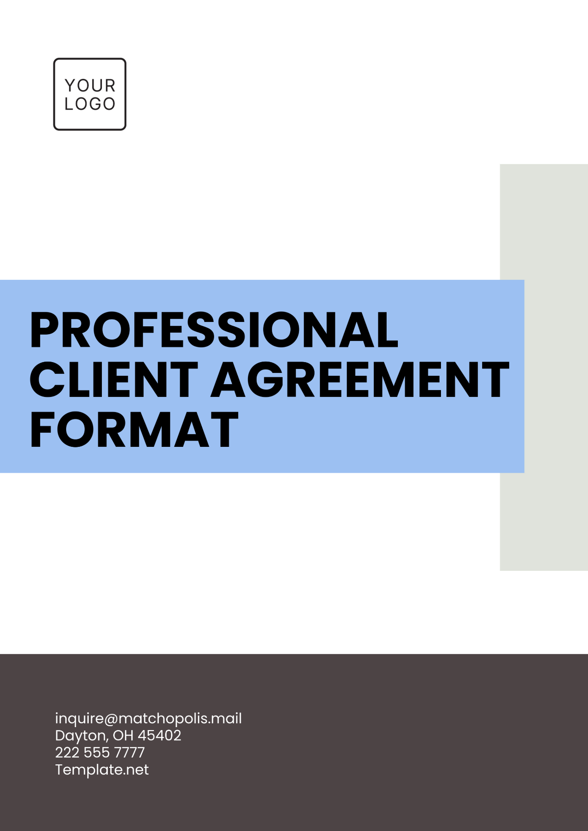 Professional Client Agreement Format Template - Edit Online & Download