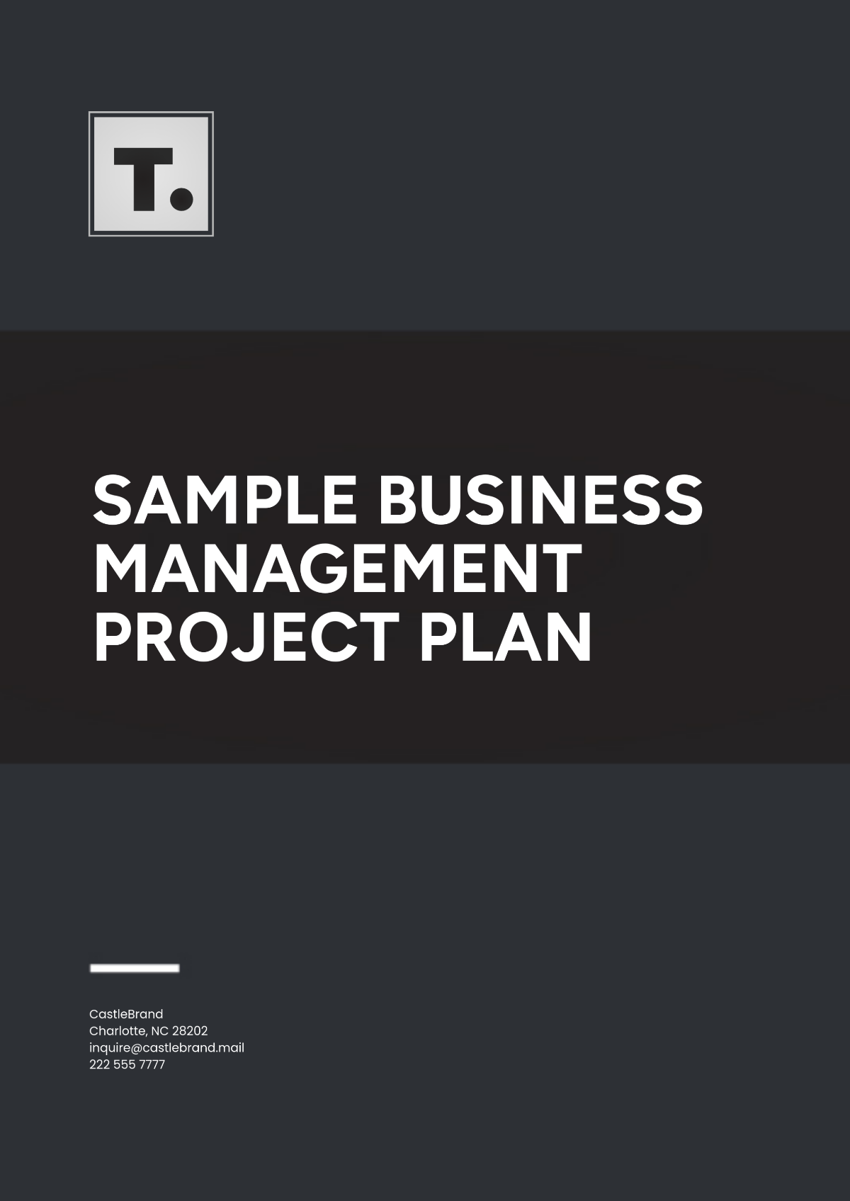 Sample Business Management Project Plan Template - Edit Online & Download